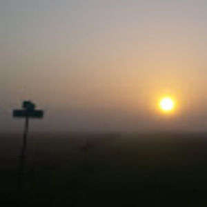 Meet your Posher, Carissa